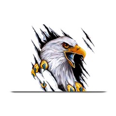 Eagle Plate Mats by Salman4z