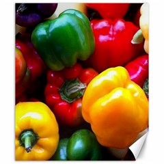 Colorful Capsicum Canvas 20  X 24  by Sparkle