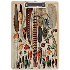 Feathers Birds Vintage Art A4 Acrylic Clipboard by Vaneshart