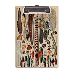 Feathers Birds Vintage Art A5 Acrylic Clipboard by Vaneshart