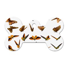 Butterfly Butterflies Insect Swarm Dog Tag Bone (two Sides) by 99art