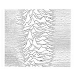 Joy Division Unknown Pleasures Two Sides Premium Plush Fleece Blanket (Medium) 60 x50  Blanket Front