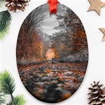 Breathe In Nature Background Oval Ornament (Two Sides) Front