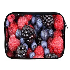 Berries-01 Apple Ipad 2/3/4 Zipper Cases by nateshop