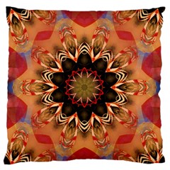 Abstract-kaleidoscope-design Standard Premium Plush Fleece Cushion Case (two Sides) by Bedest