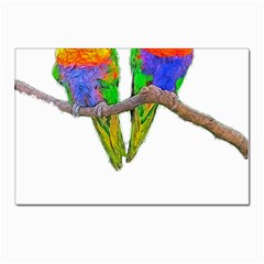 Parrots T-shirtcute Rainbow Loris - Lorikeet T-shirt Postcard 4 x 6  (pkg Of 10) by EnriqueJohnson