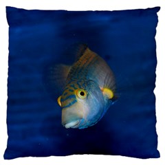 Fish Blue Animal Water Nature Standard Premium Plush Fleece Cushion Case (one Side) by Amaryn4rt