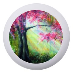 Forests Stunning Glimmer Paintings Sunlight Blooms Plants Love Seasons Traditional Art Flowers Sunsh Dento Box With Mirror by Amaryn4rt