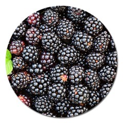 Blackberries-background-black-dark Magnet 5  (round) by Amaryn4rt