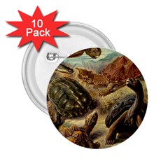 Turtles Leatherback Sea Turtle 2 25  Buttons (10 Pack)  by Pakjumat