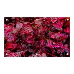 Red Leaves Plant Nature Leaves Banner and Sign 5  x 3  Front