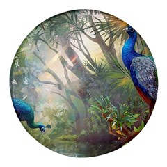 Peafowl Peacock Bird Birds Painting Art Wildlife Round Glass Fridge Magnet (4 Pack) by Sarkoni