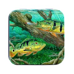 Peacock Bass Fishing Square Metal Box (black) by Sarkoni