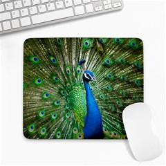 Peafowl Peacock Large Mousepad by Sarkoni