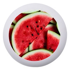 Watermelon Fruit Green Red Dento Box With Mirror by Bedest