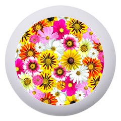 Flowers Blossom Bloom Nature Plant Dento Box With Mirror by Amaryn4rt