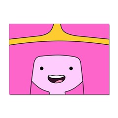 Adventure Time Princess Bubblegum Sticker A4 (10 Pack) by Sarkoni