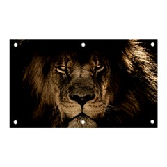 African Lion Mane Close Eyes Banner And Sign 5  X 3  by Ket1n9