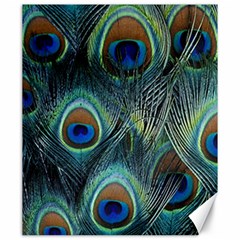 Feathers Art Peacock Sheets Patterns Canvas 20  X 24  by Ket1n9