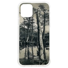 Dry Forest Landscape, Tierra Del Fuego, Argentina Iphone 12/12 Pro Tpu Uv Print Case by dflcprintsclothing