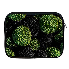 Berry,note, Green, Raspberries Apple Ipad 2/3/4 Zipper Cases by nateshop