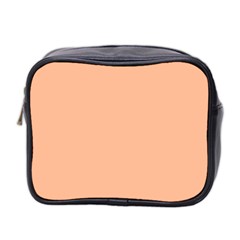 Peach Fuzz 2024 Mini Toiletries Bag (two Sides) by dressshop