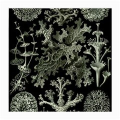 Weave Haeckel Lichenes Photobionten Medium Glasses Cloth by Cemarart