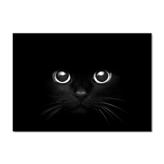 Black Cat Face Sticker A4 (100 Pack) by Cemarart
