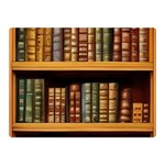 Room Interior Library Books Bookshelves Reading Literature Study Fiction Old Manor Book Nook Reading Two Sides Premium Plush Fleece Blanket (Mini) 35 x27  Blanket Back