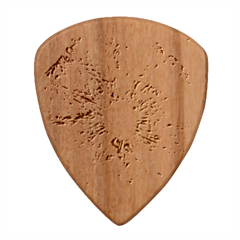 Grapefruit-fruit-background-food Wood Guitar Pick (set Of 10) by Maspions