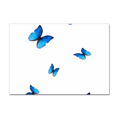 Butterfly-blue-phengaris Sticker A4 (100 Pack) by saad11