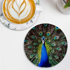 Peacock Bird Feathers Pheasant Nature Animal Texture Pattern Uv Print Round Tile Coaster by Bedest