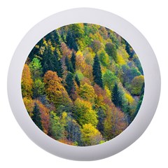 Forest Trees Leaves Fall Autumn Nature Sunshine Dento Box With Mirror by Ravend