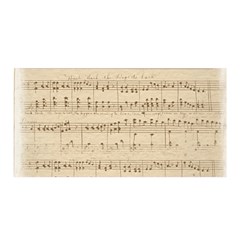 Vintage Beige Music Notes Satin Wrap 35  X 70  by Loisa77