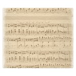 Vintage Beige Music Notes Premium Plush Fleece Blanket (Small) 50 x40  Blanket Front