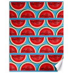 Illustrations Watermelon Texture Pattern Canvas 18  X 24  by anzea