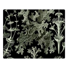 Weave Haeckel Lichenes Photobionten Premium Plush Fleece Blanket (large) by Cemarart