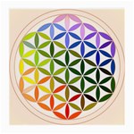 Mandala Rainbow Colorful Medium Glasses Cloth (2 Sides) Back