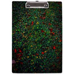 Grass Nature Meadow A4 Acrylic Clipboard by Loisa77