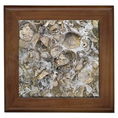 Fossilized Seashell Texture Print Design Bk Framed Tile by dflcprintsclothing