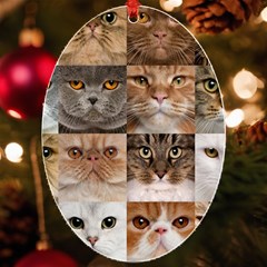 Breeds Of Cats Collage Uv Print Acrylic Ornament Oval by kyorashop23