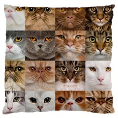 Breeds Of Cats Collage 16  Baby Flannel Cushion Case (two Sides) by kyorashop23