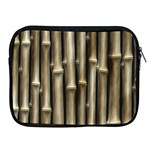 Bamboo Grass Apple iPad 2/3/4 Zipper Cases Front