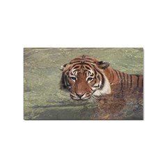 Swimming Tiger Sticker (rectangular) by ExtraAwesomeSauce