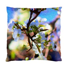 Springtime Pear Tree Blossoms Standard Cushion Case (two Sides) by ExtraAwesomeSauce