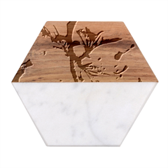 Springtime Pear Tree Blossoms Marble Wood Coaster (hexagon)  by ExtraAwesomeSauce