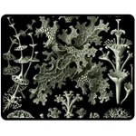 Weave Haeckel Lichenes Photobionten Fleece Blanket (Medium) 60 x50  Blanket Front