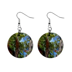 Patagonian Forest Trees Close-up, Rio Negro Province, Patagonia, Argentina Mini Button Earrings by dflcprintsclothing