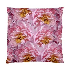 Peonies Nature Bloom Blossom Pink Standard Cushion Case (two Sides) by Tsamara