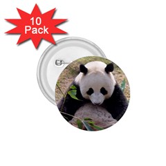 Big Panda 1 75  Button (10 Pack)  by dropshipcnnet
